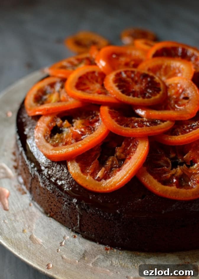 Aromatic Chocolate Olive Oil Rosemary Cake with Candied Blood Oranges 3 Whole chocolate olive oil and rosemary cake on a stand, generously topped with candied blood orange slices and a drizzle of syrup, ready to be served as a delightful and aromatic dessert.