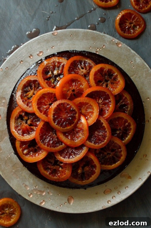 Aromatic Chocolate Olive Oil Rosemary Cake with Candied Blood Oranges 5 Indulgent chocolate olive oil and rosemary cake, showcasing its rich, dark color and the vibrant candied blood oranges, embodying a soft, aromatic, and utterly delicious dessert.