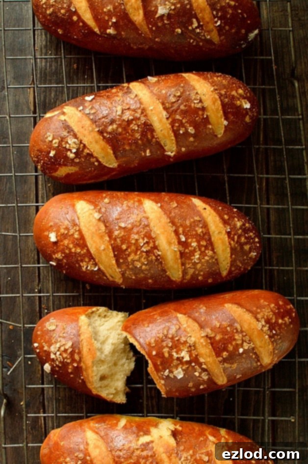 Brewmaster's Pretzel Hot Dog Buns 3 Soft, chewy, and delicious beer pretzel hot dog buns