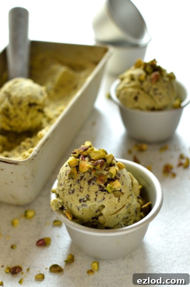 Artisan Pistachio Stracciatella Delight 3 Pistachio dark chocolate stracciatella ice cream (egg free)
