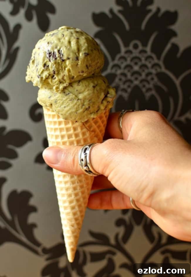 Artisan Pistachio Stracciatella Delight 4 Pistachio stracciatella ice cream