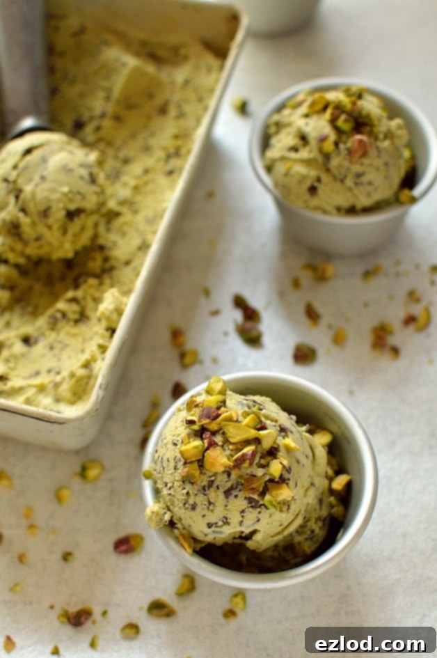Artisan Pistachio Stracciatella Delight 5 Pistachio ice cream with dark chocolate flakes