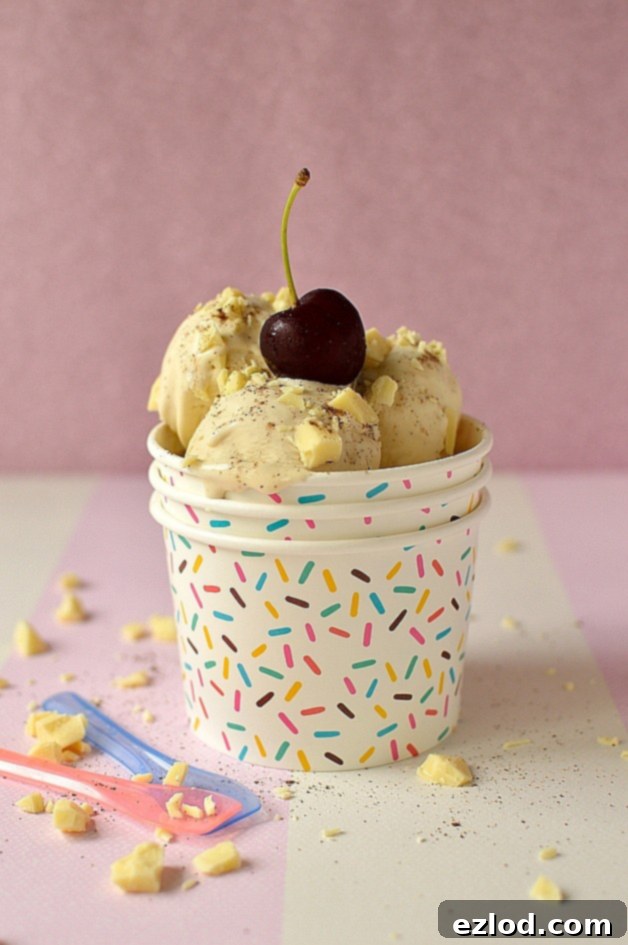Velvet White Chocolate Allspice Indulgence 2 White chocolate allspice ice cream - perfect for a hot summer day
