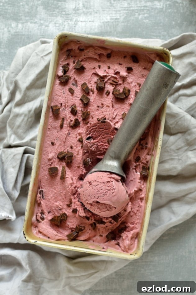 Roasted Cherry Balsamic Swirl Dark Chocolate Ice Cream 2 Balsamic roasted cherry and chocolate chunk ice cream