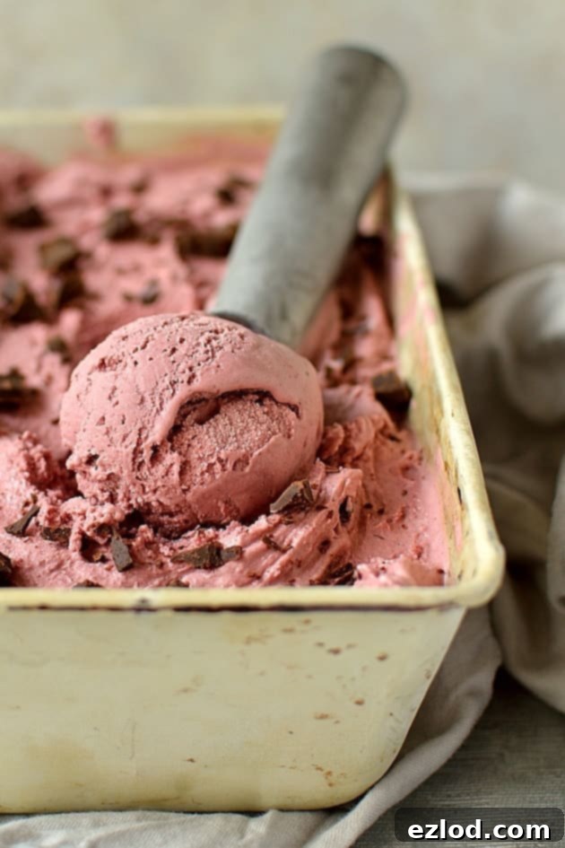 Roasted Cherry Balsamic Swirl Dark Chocolate Ice Cream 3 Balsamic roasted cherry chocolate chunk ice cream
