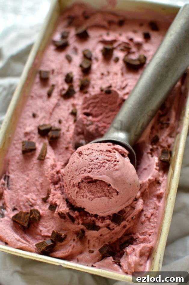 Roasted Cherry Balsamic Swirl Dark Chocolate Ice Cream 4 Balsamic vinegar roasted cherry ice cream with chocolate chunks