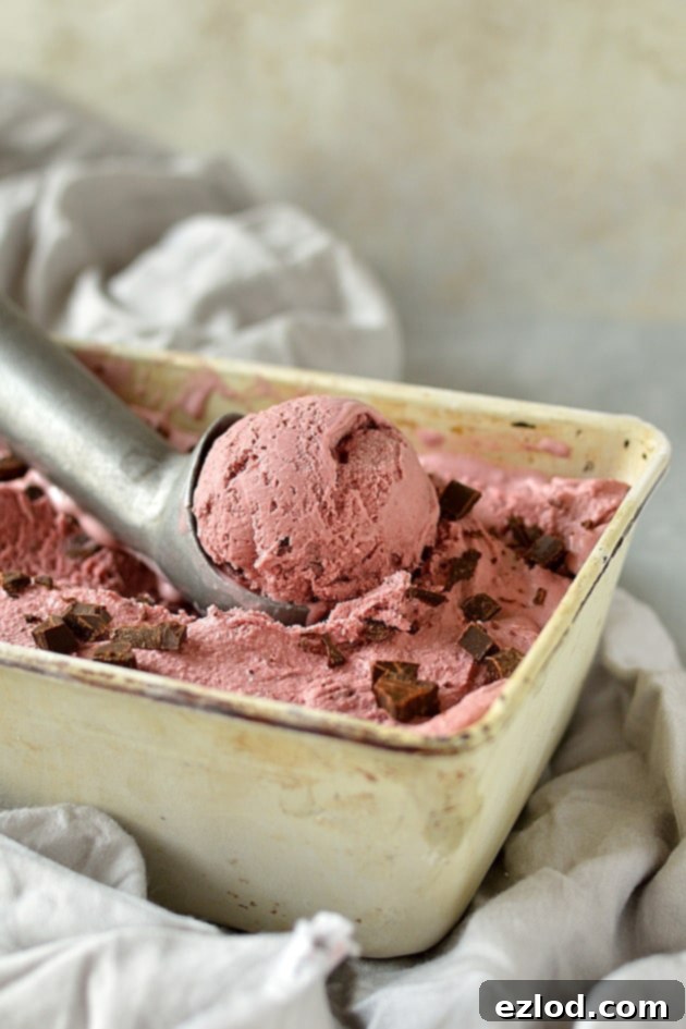 Roasted Cherry Balsamic Swirl Dark Chocolate Ice Cream 5 Balsamic roasted cherry and chocolate chunk ice cream (can use fresh or frozen cherries)