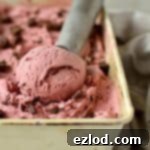 Roasted Cherry Balsamic Swirl Dark Chocolate Ice Cream 6 Balsamic roasted cherry chocolate chunk ice cream
