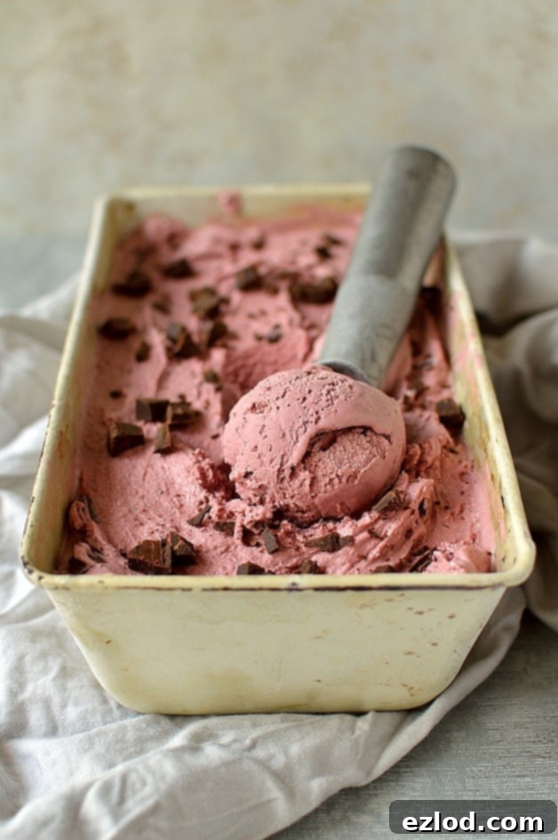 Roasted Cherry Balsamic Swirl Dark Chocolate Ice Cream 7 Balsamic roasted cherry ice cream with chocolate chunks
