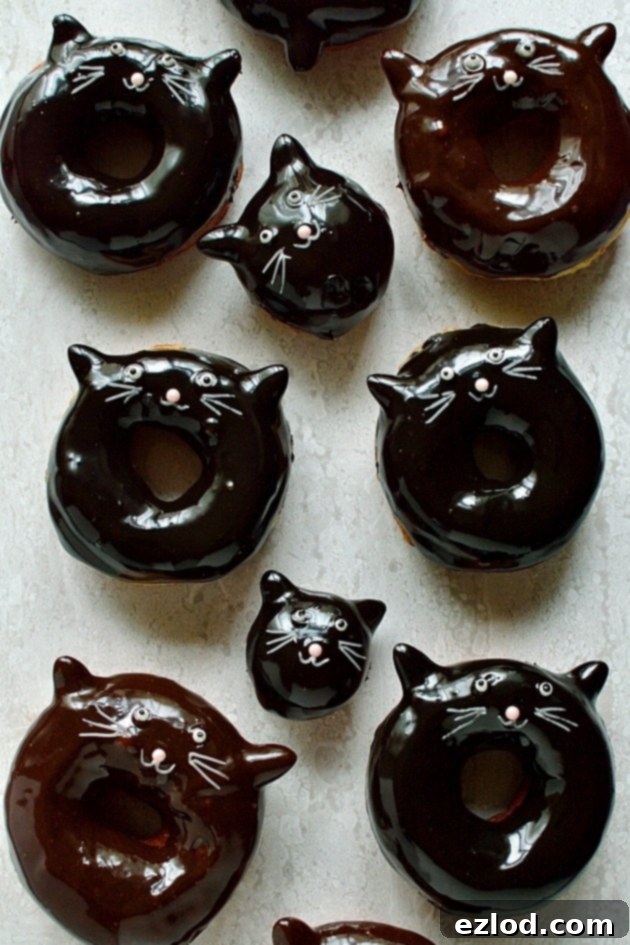 Black Cat's Midnight Chocolate Rings 3 Chocolate glazed fried yeast ring doughnuts with cute cat faces