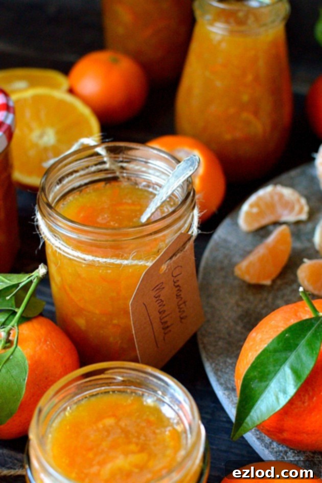 Radiant Clementine Marmalade 3 Clementine marmalade - a delicious homemade marmalade using clementines, great for Christmas gifts!