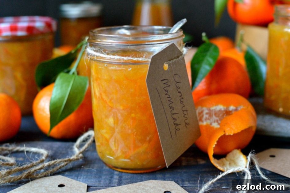 Radiant Clementine Marmalade 4 Clementine marmalade - a delicious homemade marmalade using clementines, great for Christmas gifts!