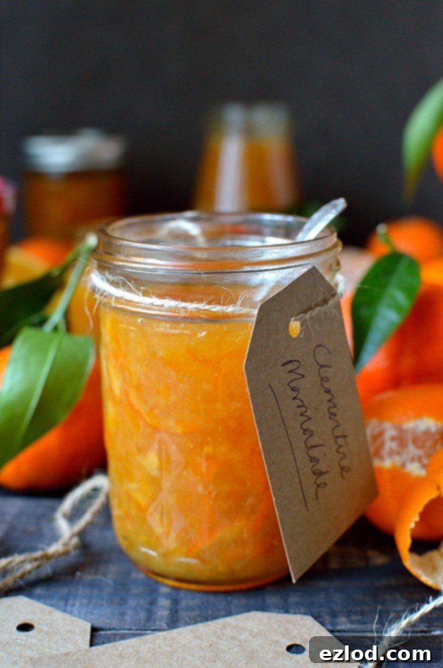 Radiant Clementine Marmalade 6 Clementine marmalade - a delicious homemade marmalade using clementines, great for Christmas gifts!