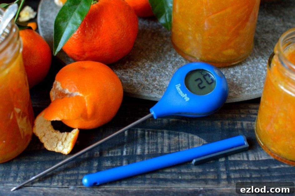 Radiant Clementine Marmalade 7 ThermoPop thermometer review