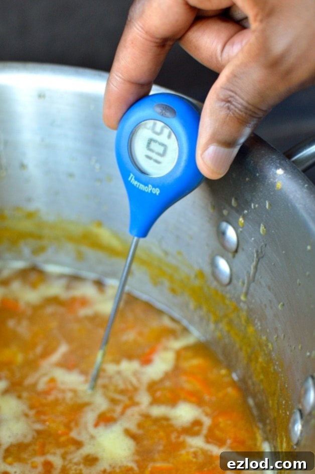 Radiant Clementine Marmalade 8 ThermoPop thermometer review and giveaway