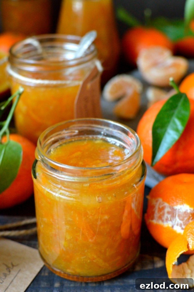 Radiant Clementine Marmalade 9 Clementine marmalade - a delicious homemade marmalade using clementines, great for Christmas gifts!