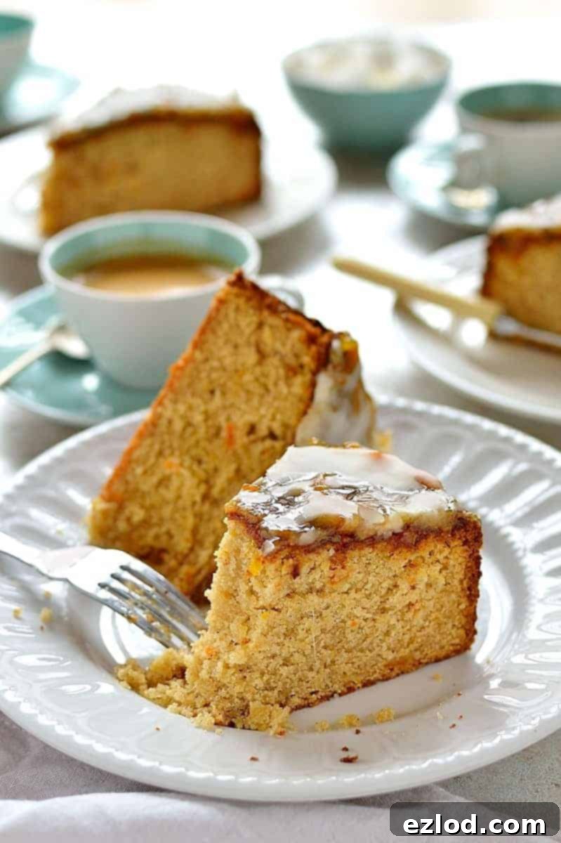 Sun-Kissed Vegan Ginger Cake with Tangy Marmalade 12 Two perfectly cut slices of vegan marmalade and ginger cake resting on a pristine white plate, invitingly ready to be enjoyed.