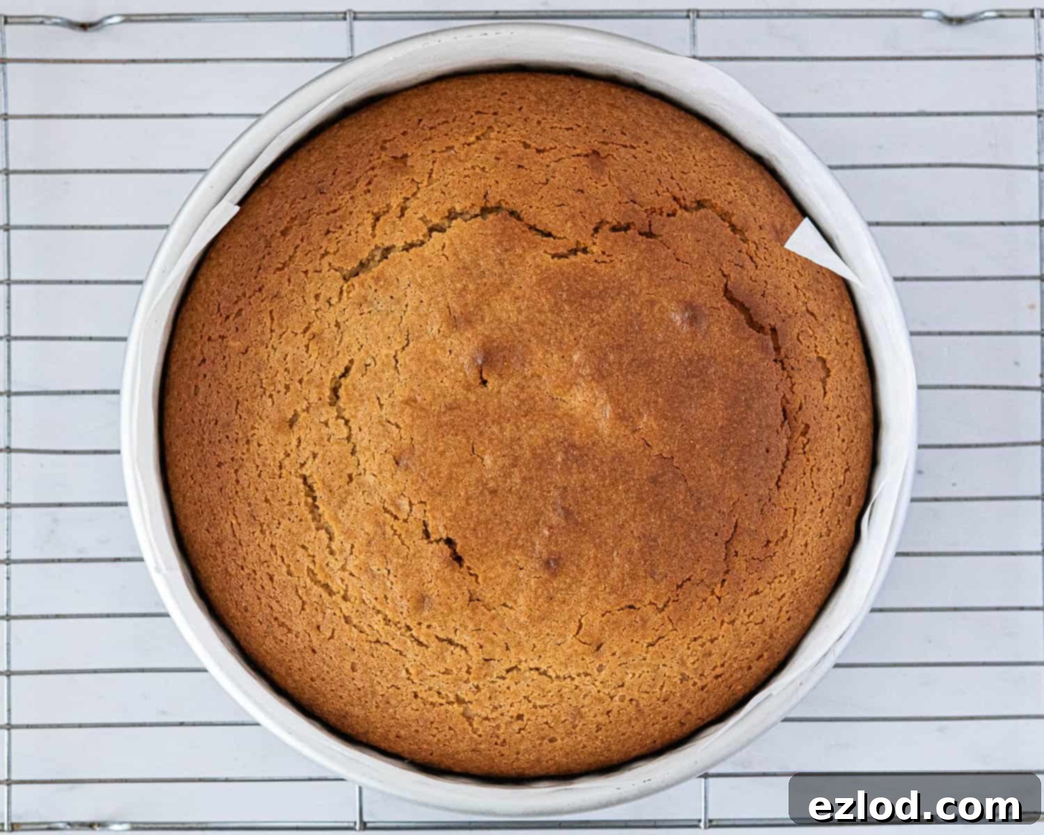 Sun-Kissed Vegan Ginger Cake with Tangy Marmalade 7 Step 4: The golden-brown, perfectly baked vegan marmalade and ginger cake, just out of the oven.