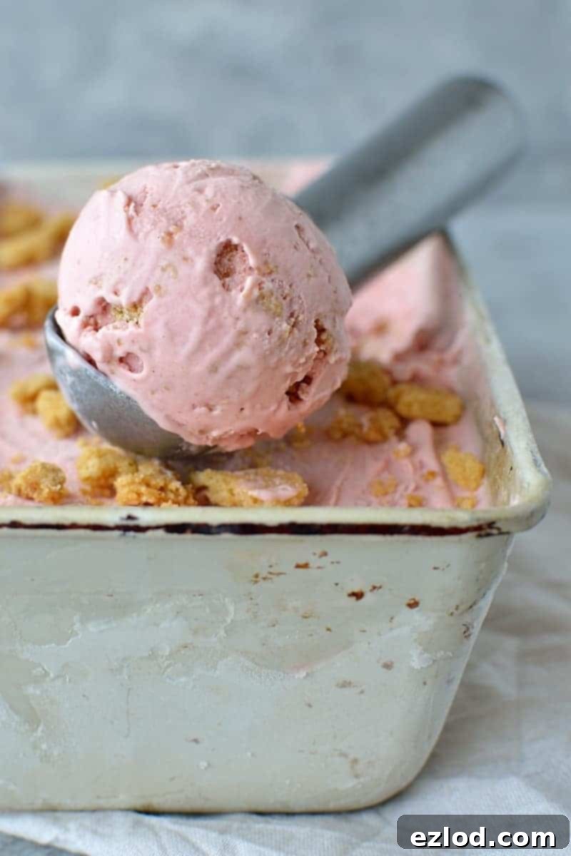 Rhubarb Strawberry Crumble Crunch Ice Cream 1 Roasted rhubarb and strawberry crumble ice cream - a delicious fruity ice cream filled with chunks of buttery crumble and topped with a tangy rhubarb strawberry sauce.
