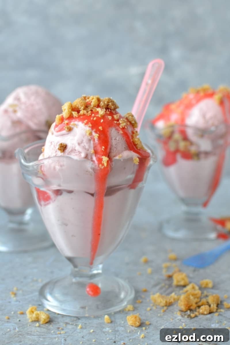 Rhubarb Strawberry Crumble Crunch Ice Cream 4 Roasted rhubarb and strawberry crumble ice cream - a delicious fruity ice cream filled with chunks of buttery crumble and topped with a tangy rhubarb strawberry sauce.