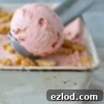 Rhubarb Strawberry Crumble Crunch Ice Cream 5 Roasted rhubarb and strawberry crumble ice cream - a delicious fruity ice cream filled with chunks of buttery crumble and topped with a tangy rhubarb strawberry sauce.