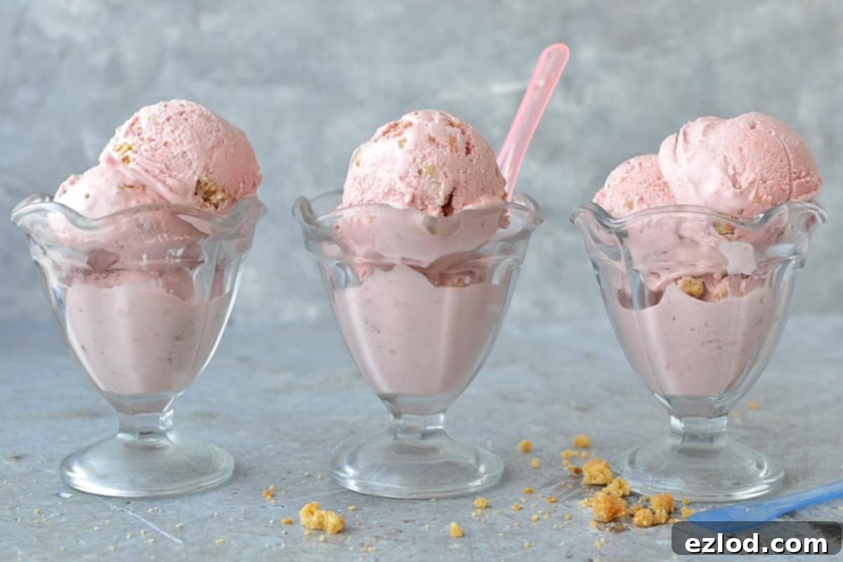 Rhubarb Strawberry Crumble Crunch Ice Cream 6 Roasted rhubarb and strawberry crumble ice cream - a delicious fruity ice cream filled with chunks of buttery crumble and topped with a tangy rhubarb strawberry sauce.
