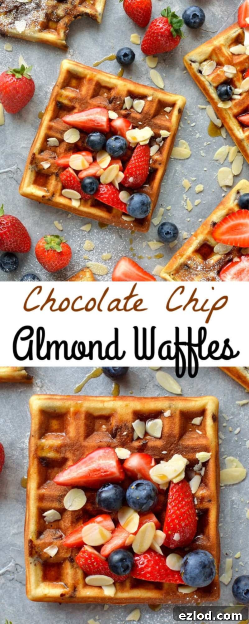 Decadent Chocolate Almond Waffles 2 chocolate chip almond waffles - fluffy waffles made with ground almonds and filled with chocolate chips; perfect for an indulgent breakfast or brunch.