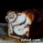 Marbled Nutella Banana Yeast Bread 6 nutella swirled banana yeast bread - soft yeasted banana bread with a generous swirl of nutella.