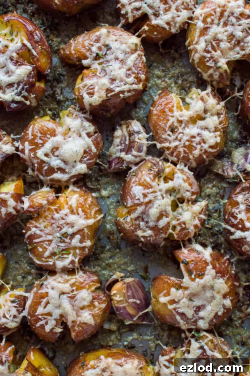 Garlic Herb Parmesan Smashed Potatoes 2 Golden brown Herby Parmesan Smashed Potatoes, showcasing their crispy edges and inviting texture, ready to be served.