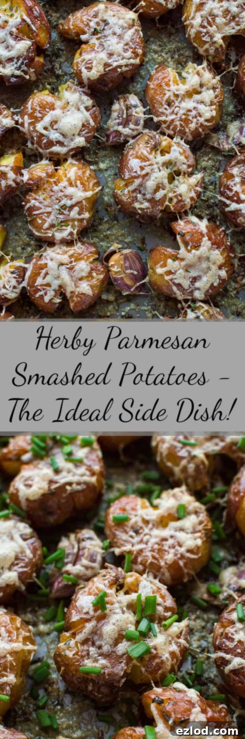 Garlic Herb Parmesan Smashed Potatoes 3 A wider shot of the Herby Parmesan Smashed Potatoes, emphasizing their rustic charm and delicious appeal.