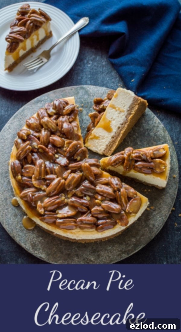 Pecan Praline Cheesecake 3 Pecan pie cheesecake - two amazing desserts rolled into one to give the best of both worlds! A creamy baked vanilla cheesecake topped with pecans in caramel sauce. #cheesecake #baking #dessert