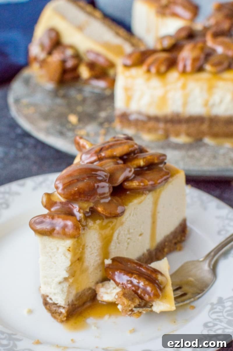 Pecan Praline Cheesecake 4 A perfectly sliced portion of Pecan Pie Cheesecake, revealing the thick, creamy vanilla cheesecake layer on a sturdy biscuit base, generously crowned with glistening caramel pecans. A true dessert marvel.