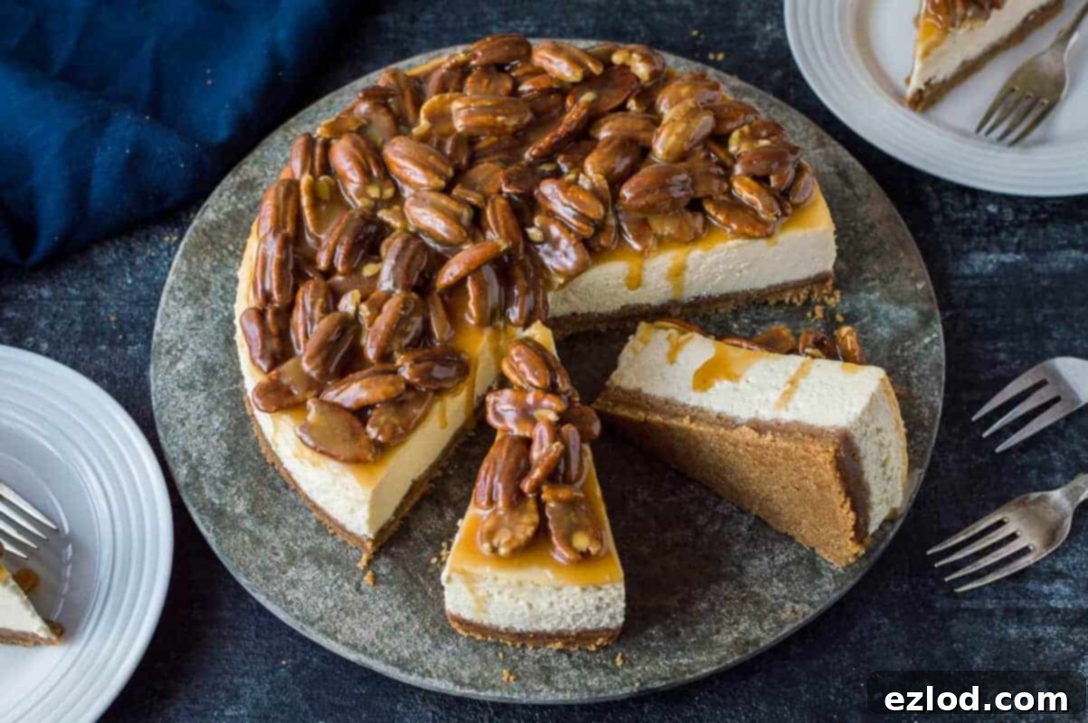 Pecan Praline Cheesecake 5 A mouthwatering baked vanilla cheesecake with a golden biscuit base, generously topped with a rich, glistening caramel sauce and abundant toasted pecans. This is the ultimate comfort dessert.