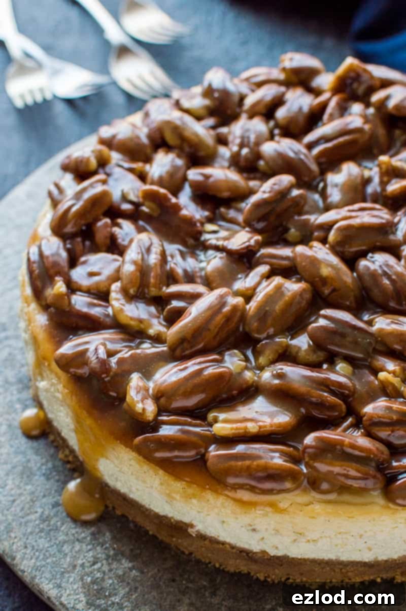 Pecan Praline Cheesecake 10 A stunning side view of the baked vanilla cheesecake, showcasing its height and the generous, glistening caramel pecan topping on a dark background. This dessert is a masterpiece of texture and flavor.