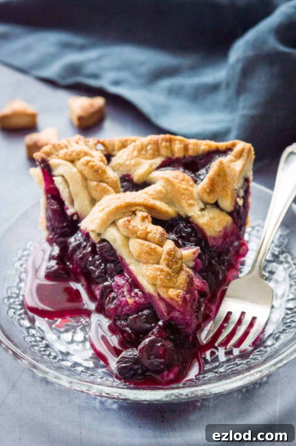 Vegan Blueberry Pie with a Flaky Coconut Oil Crust 2 Delicious Vegan Blueberry Pie with Coconut Oil Crust, topped with a beautiful lattice design