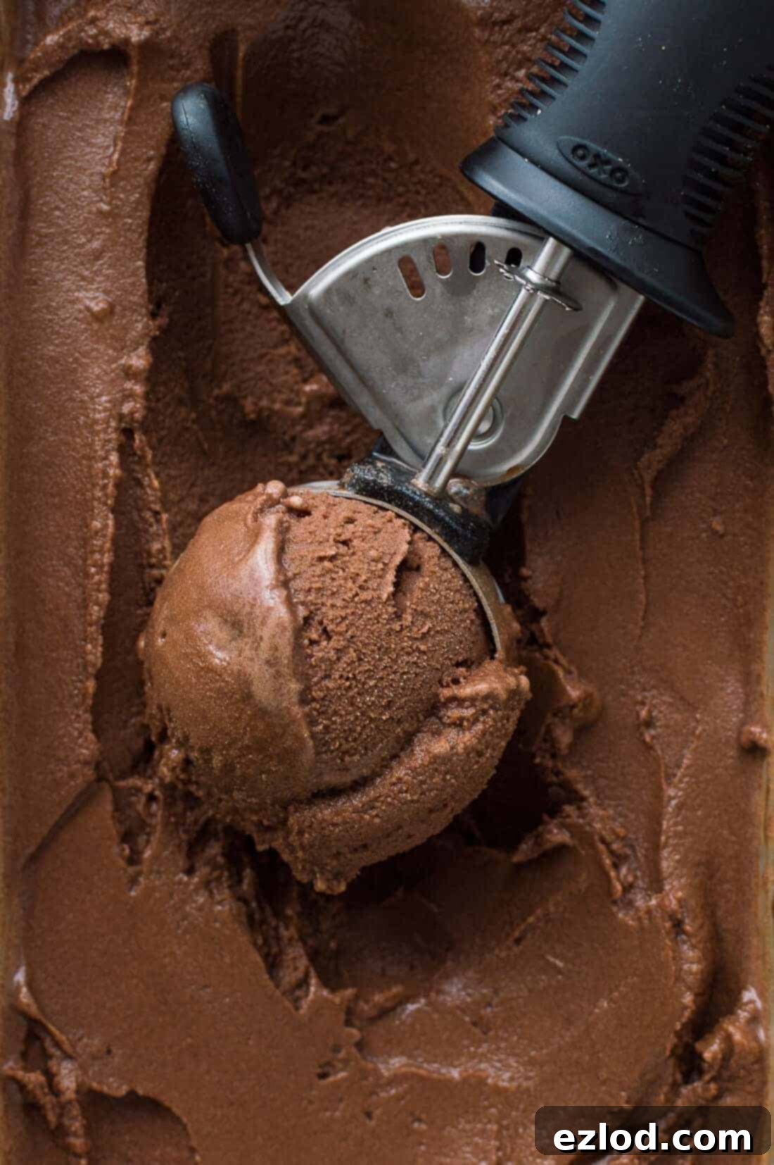 Vegan Chocolate Coconut Sorbet 34 Rich and creamy vegan chocolate coconut sorbet, a refreshing dairy-free dessert.