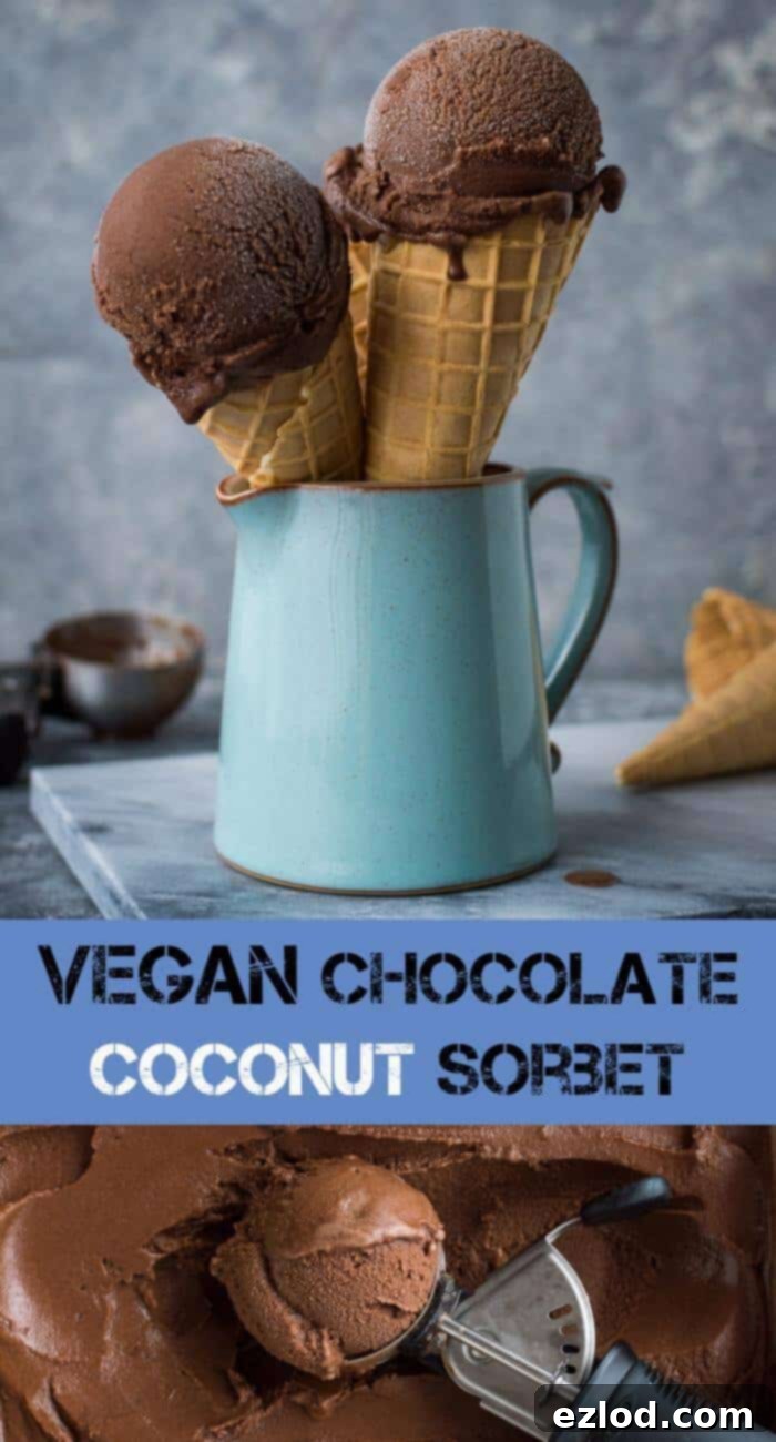 Chocolate coconut sorbet - rich and chocolatey but lighter than a traditional ice cream; this vegan chocolate coconut sorbet is an easy to make, refreshing treat. #vegan #icecream #sorbet #dessert #vegandessert #plantbased #dairyfree #eggless #eggfree #chocolate #coconut Delicious vegan chocolate coconut sorbet with rich cocoa and tropical coconut notes, a perfect plant-based dessert.