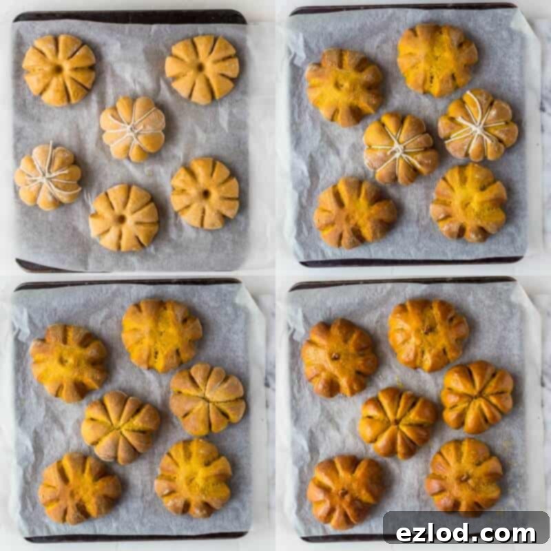 Spiced Pumpkin Bread Rolls 13 pumpkin dinner rolls step 8