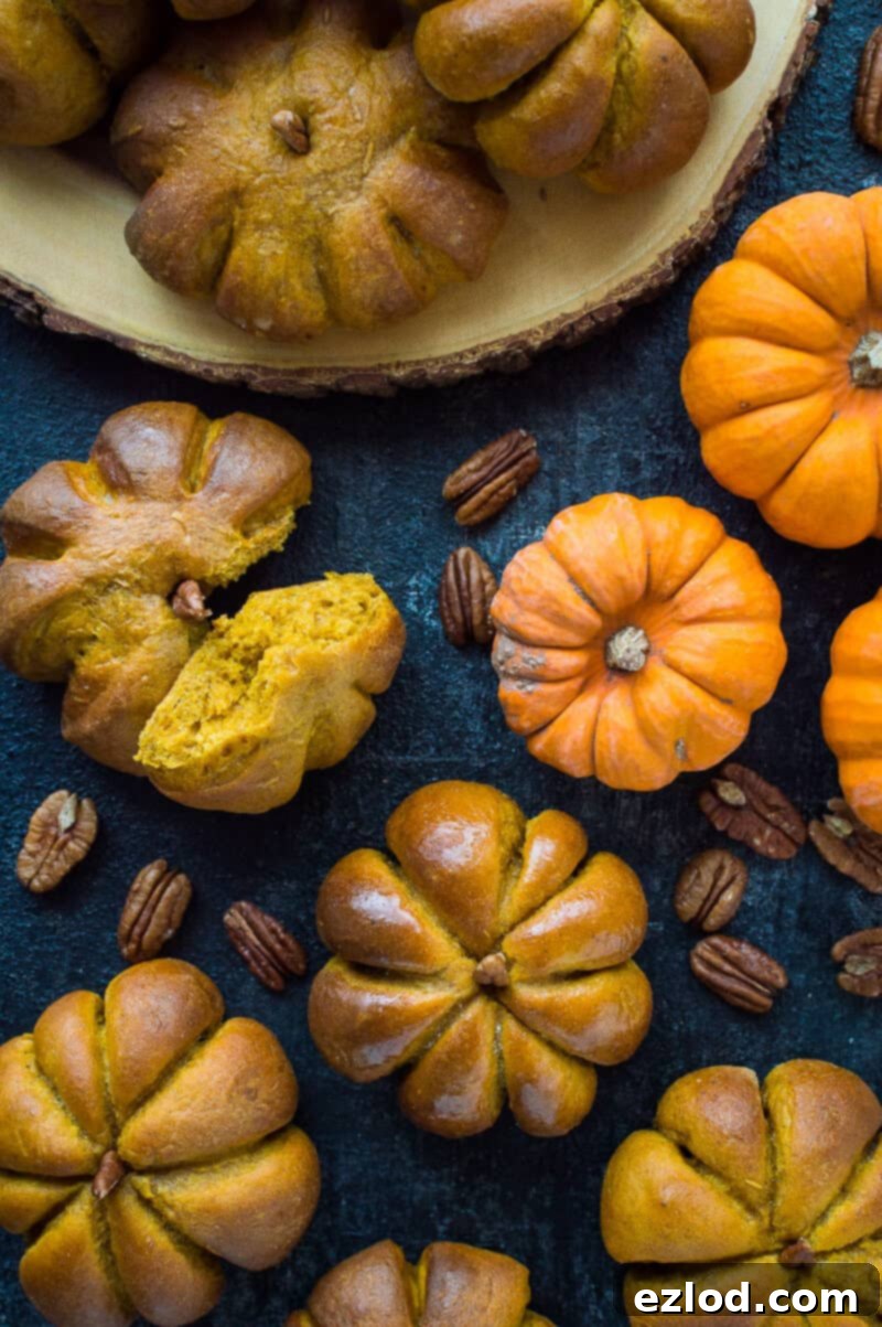 Spiced Pumpkin Bread Rolls 14 Pumpkin dinner rolls on a black background and wooden board with pecans and mini pumpkins.