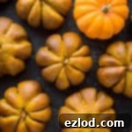 Spiced Pumpkin Bread Rolls 15 Pumpkin flavoured bread rolls shaped like pumpkins on a black background with fresh mini pumpkins.