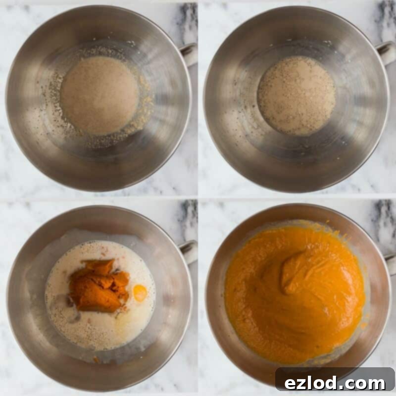 Spiced Pumpkin Bread Rolls 6 pumpkin dinner rolls step 1