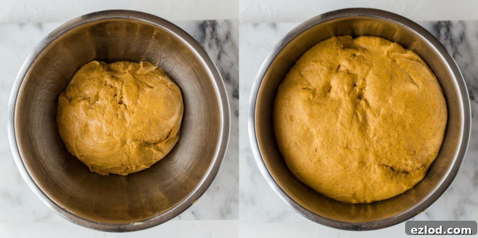 Spiced Pumpkin Bread Rolls 8 pumpkin dinner rolls step 3
