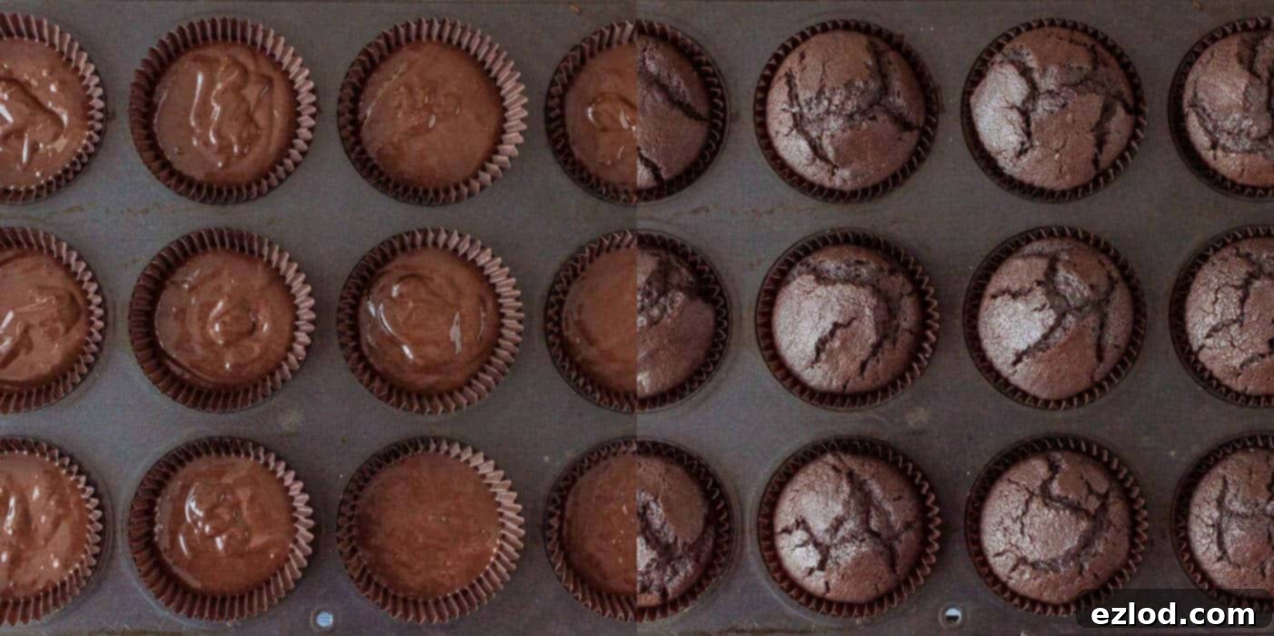 Plant-Based Graveyard Halloween Treats 14 Step 9 - baking the cupcakes