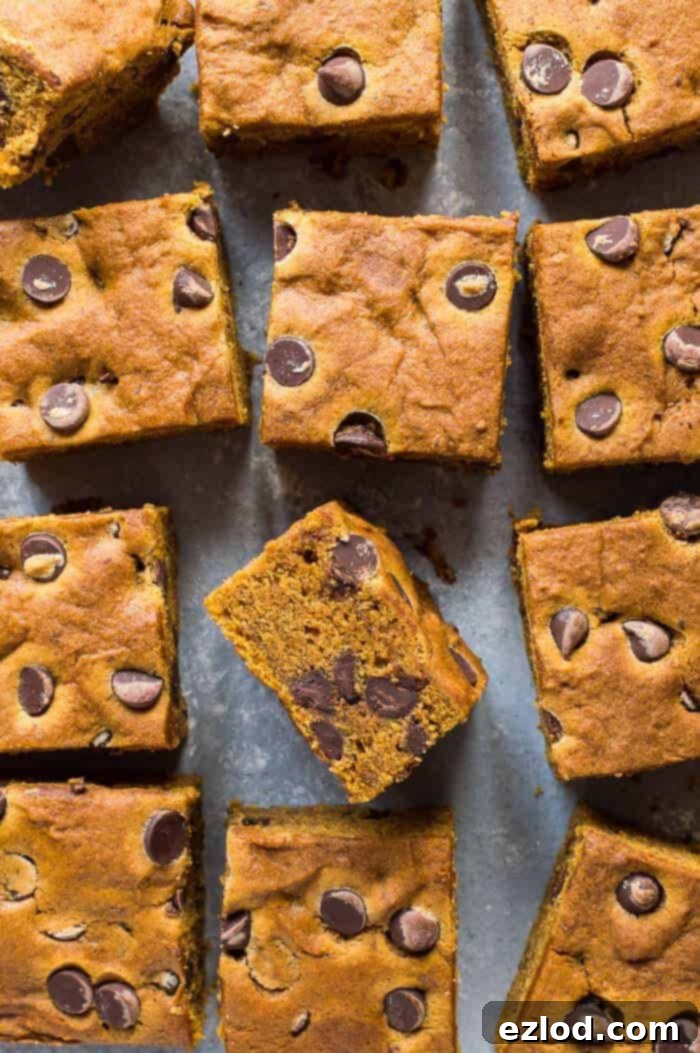 Moist Vegan Pumpkin Chocolate Chip Bars A beautifully arranged stack of moist vegan pumpkin chocolate chip bars, showcasing their soft texture and generous chocolate chip filling, perfect for a cozy autumn snack.