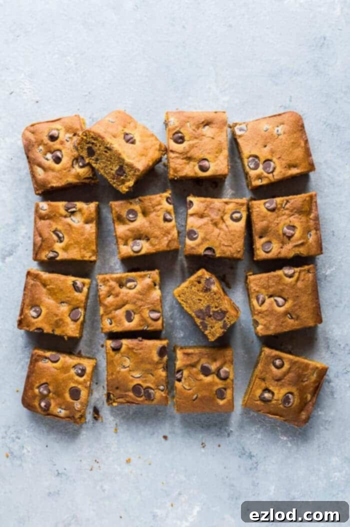 Vegan Pumpkin Chocolate Chip Bars 10 A beautiful plate of freshly baked vegan chocolate chip pumpkin snack cake, perfectly sliced into uniform squares, ready to be enjoyed.