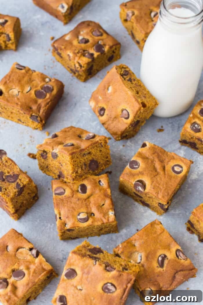 Vegan Pumpkin Chocolate Chip Bars 11 A close-up shot of vegan chocolate chip pumpkin cake bars arranged on a grey surface, with a bottle of almond milk in the background, suggesting a perfect pairing.