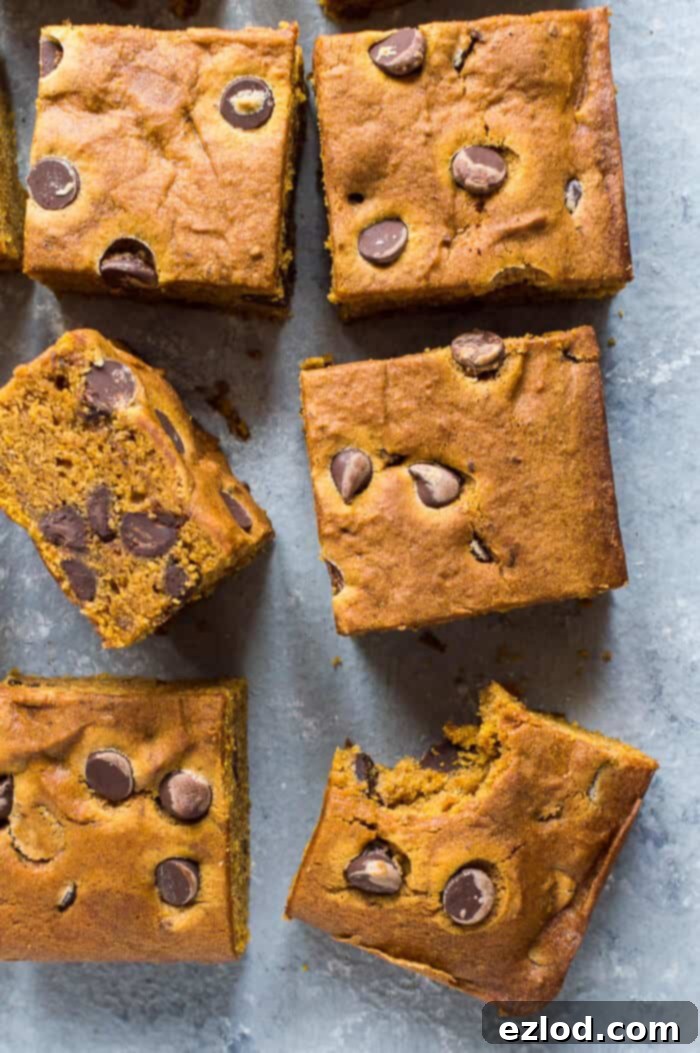 Vegan Pumpkin Chocolate Chip Bars 13 A close-up shot of a single vegan pumpkin chocolate chip bar with a bite taken out, resting on a stack of bars, all on a grey background, emphasizing its moist, chewy texture and chocolatey interior.