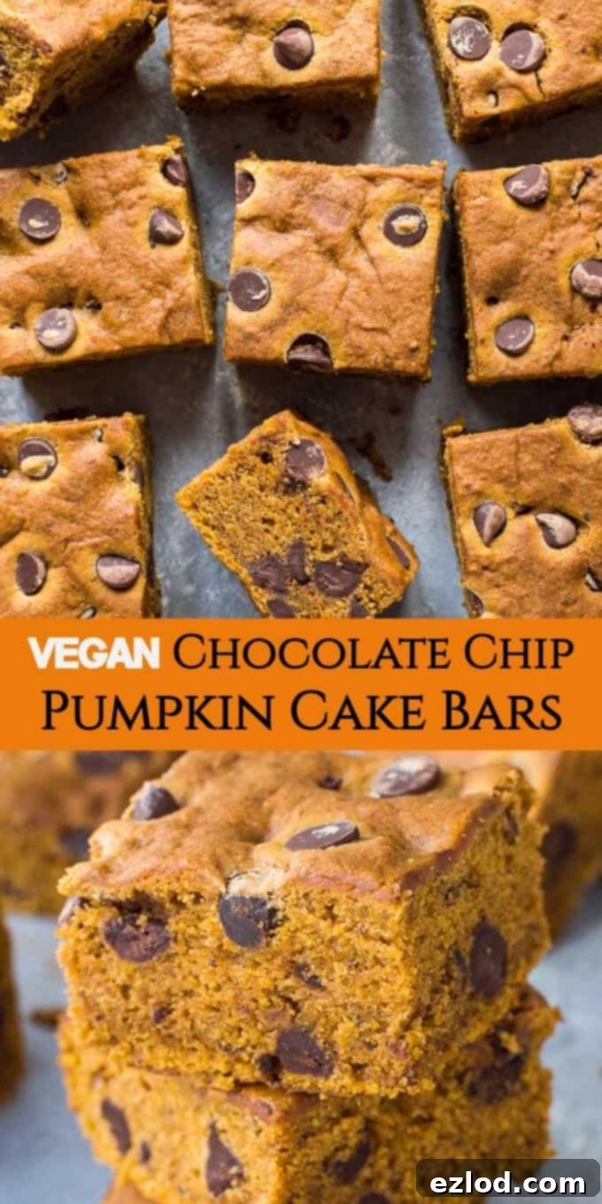 Vegan Pumpkin Chocolate Chip Bars - Fall Baking A full sheet of baked moist vegan pumpkin chocolate chip bars fresh from the oven, showcasing their perfect golden-brown color and rich chocolate chips, ready to be sliced for a delicious fall treat.
