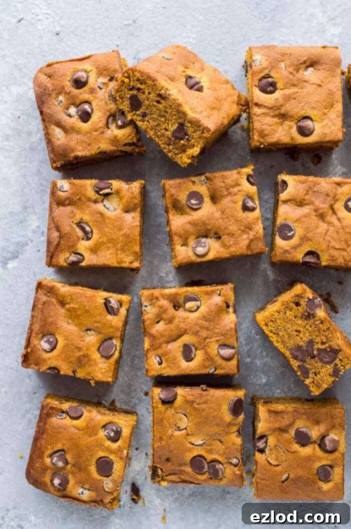 Vegan Pumpkin Chocolate Chip Bars 3 Perfectly cut squares of vegan pumpkin chocolate chip cake artfully arranged on a minimalist grey background, ready for serving.