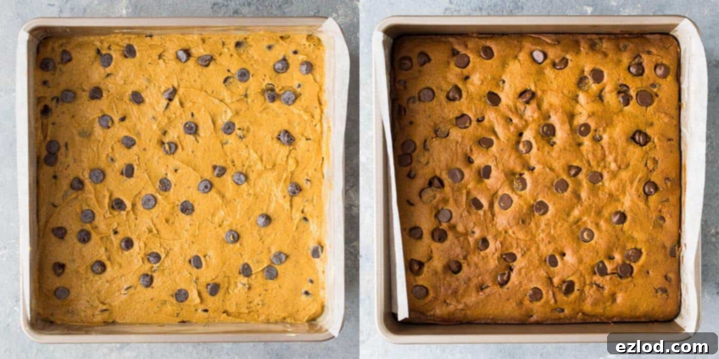 Vegan Pumpkin Chocolate Chip Bars 9 Step 6: The pumpkin chocolate chip bar batter, topped with extra chocolate chips, baking evenly in the prepared square tin in the oven.